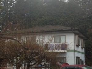 20131210_160611.jpeg