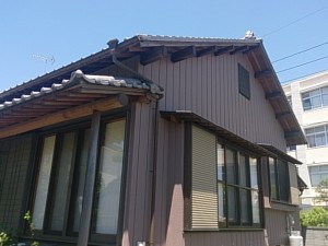 DSC_0687.jpg