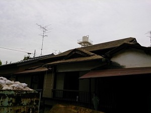 DSC_0958.jpg