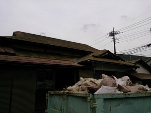 DSC_0959.jpg