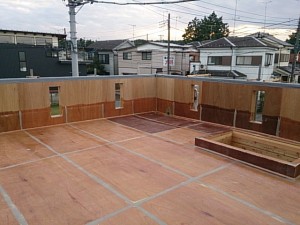 DSC_1137.jpg