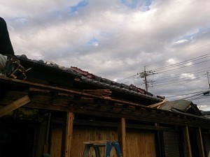 DSC_1215.jpg