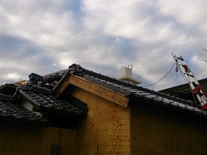 DSC_1220.jpg