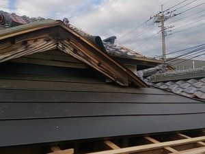 DSC_1227.jpg