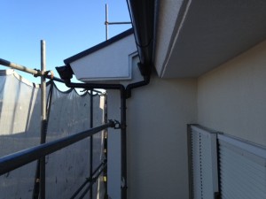 image5.JPG
