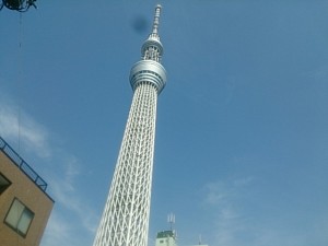 DSC_2530.jpg