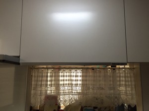 IMG_2239.JPG