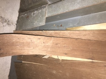 image6_2.JPG