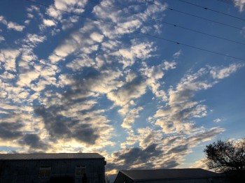 IMG_8723.jpg