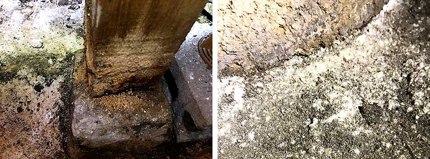 床下の湿気により腐食した柱と発生した白カビ